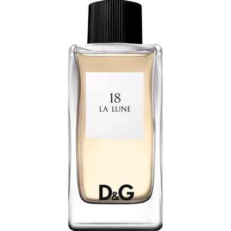 dolce gabbana nr 18 la lune